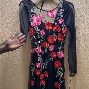 International concepts beautiful long sheer dress